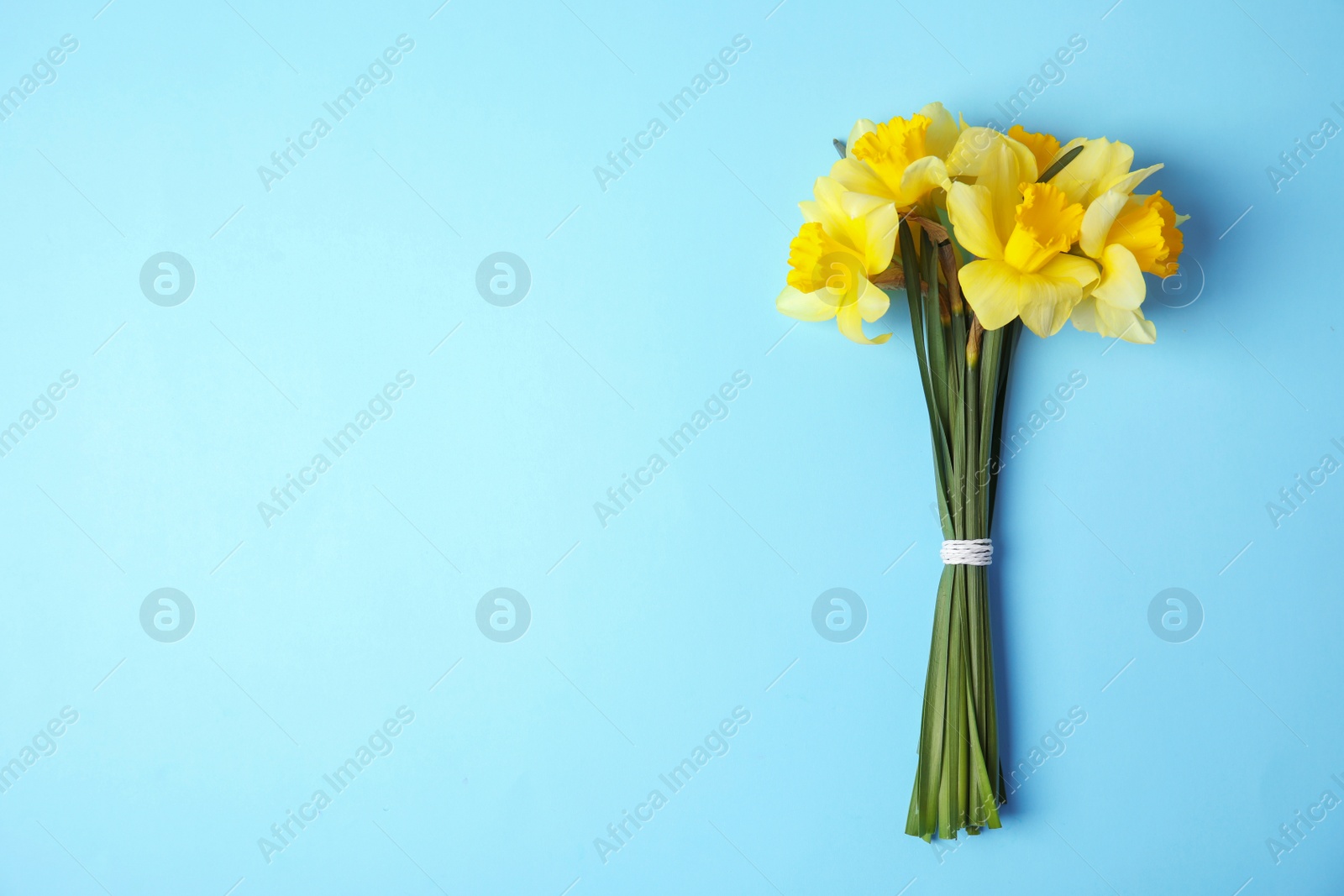 Photo of Bouquet of daffodils on color background, top view with space for text. Fresh spring flowers