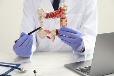 Photo of Doctor showing model of large intestine at white wooden table, closeup