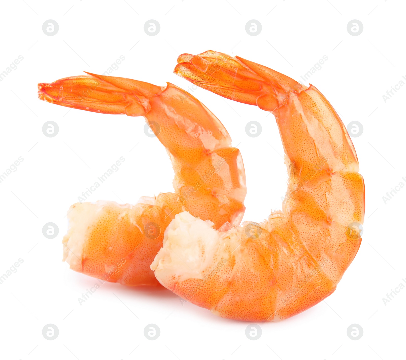 Photo of Delicious freshly cooked shrimps isolated on white