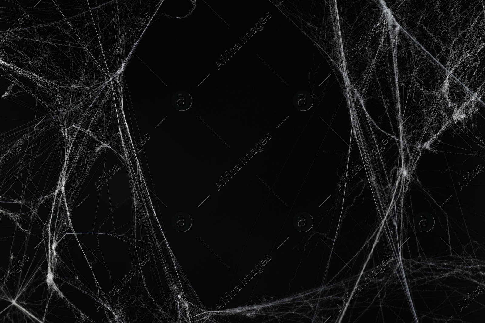 Photo of Creepy white cobweb on black background. space for text