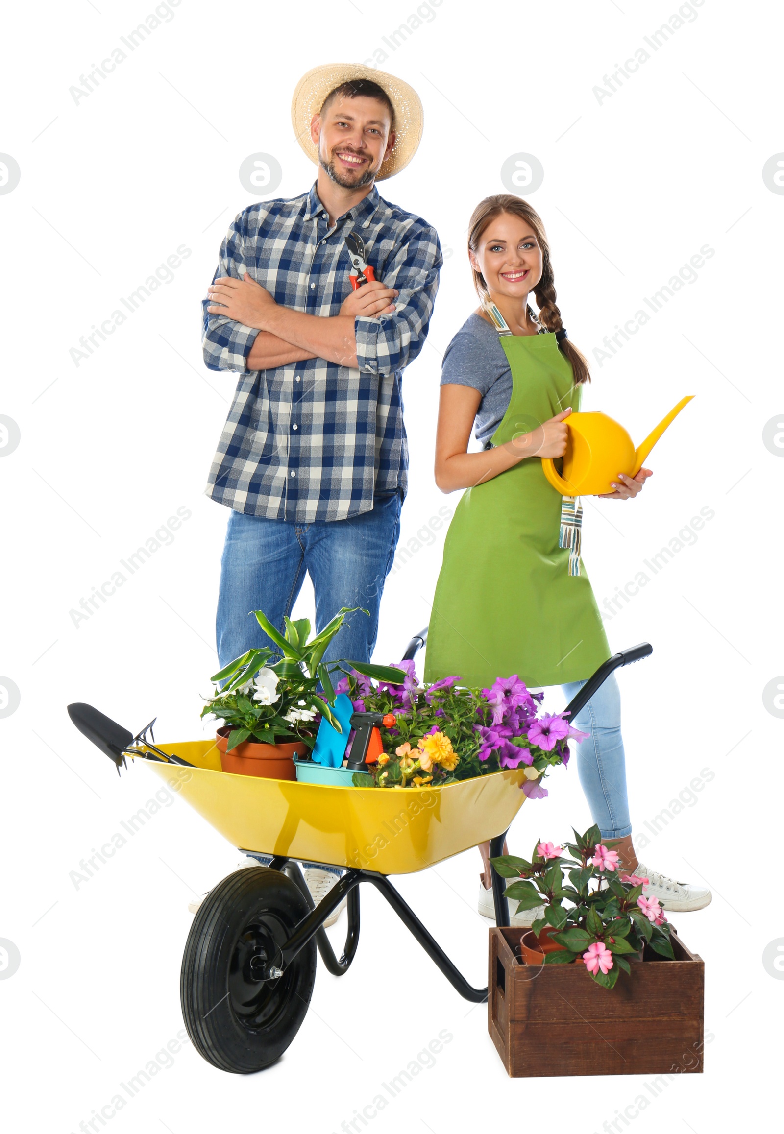 Photo of Couple of gardeners with wheelbarrow and plants on white background