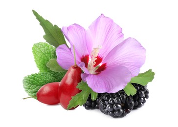 Image of Beautiful hibiscus flower, fresh berries and mint on white background