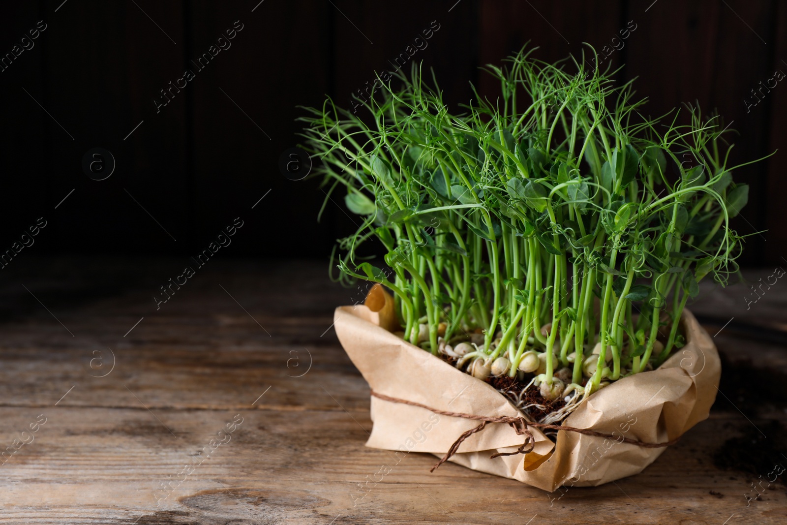 Photo of Fresh organic microgreen growing in soil on wooden table. Space for text