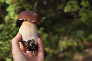 Photo of Woman holding porcini mushroom in forest, closeup. Space for text