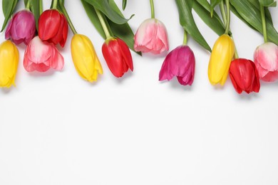 Beautiful colorful tulips on white background, flat lay. Space for text