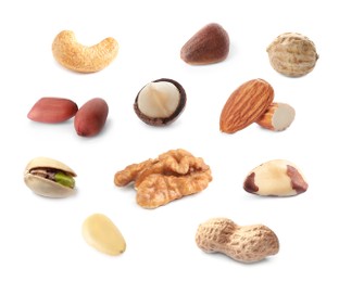 Set with different tasty nuts on white background