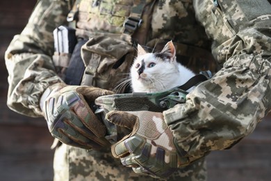 Ukrainian soldier rescuing animal. Little stray cat sitting in helmet, closeup