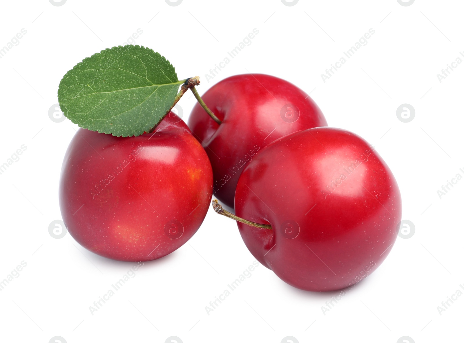 Photo of Delicious ripe cherry plums with leaf on white background