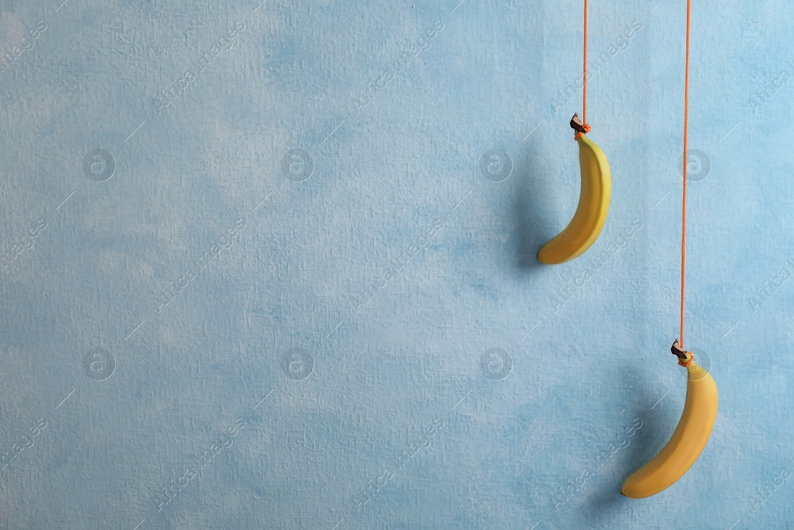 Photo of Delicious bananas hanging on light blue background. Space for text