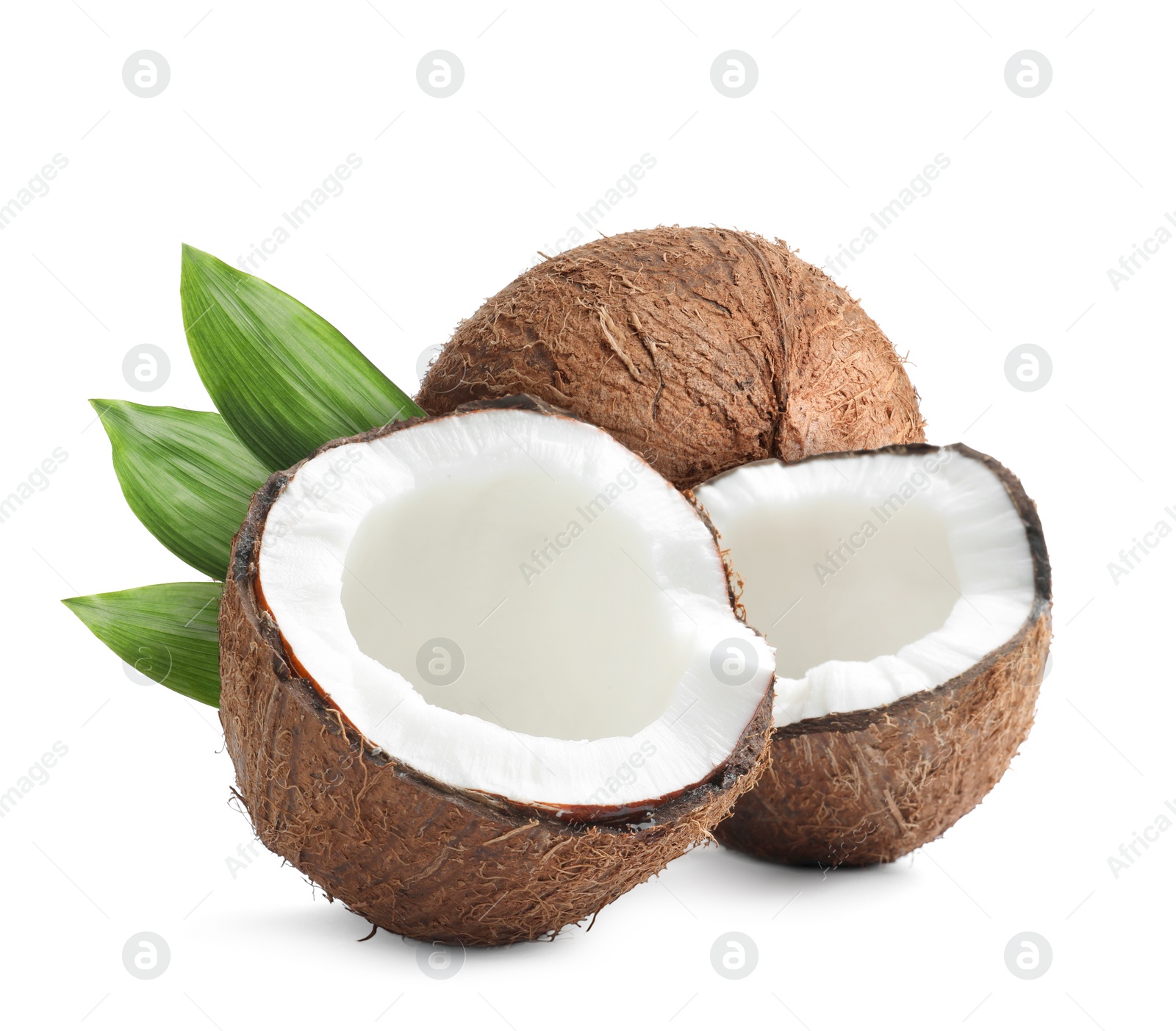 Tasty ripe coconuts and green leaves on white background Image of Tasty ripe coconuts and green leaves on white background