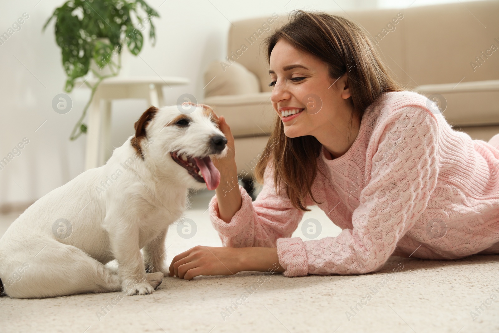 Photo of Young woman with her cute Jack Russell Terrier at home. Lovely pet