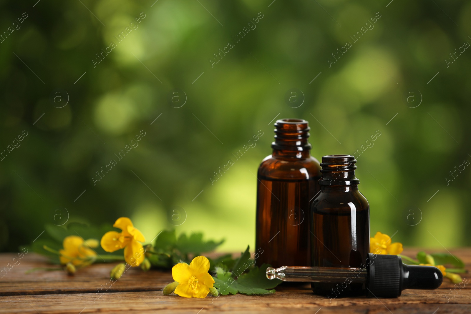 Photo of Bottles of natural celandine oil near flowers on wooden table outdoors, space for text