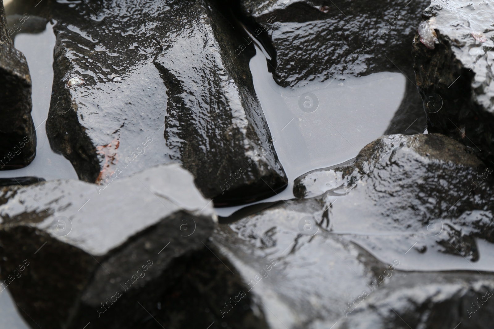 Photo of Beautiful pebbles in water as background, closeup