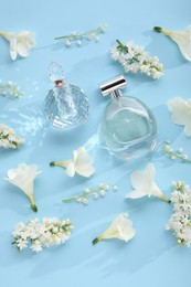 Photo of Luxury perfumes and floral decor on light blue background, flat lay