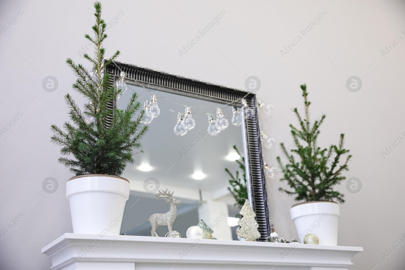 Photo of Little fir trees and Christmas decorations on shelf in room. Stylish interior idea