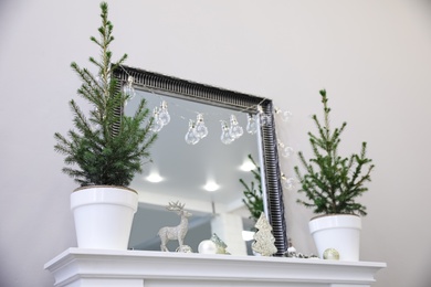 Little fir trees and Christmas decorations on shelf in room. Stylish interior idea