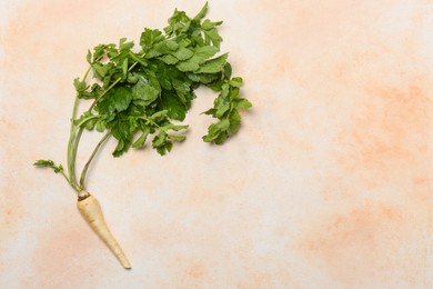 Photo of Fresh ripe parsnip on color textured background. Space for text