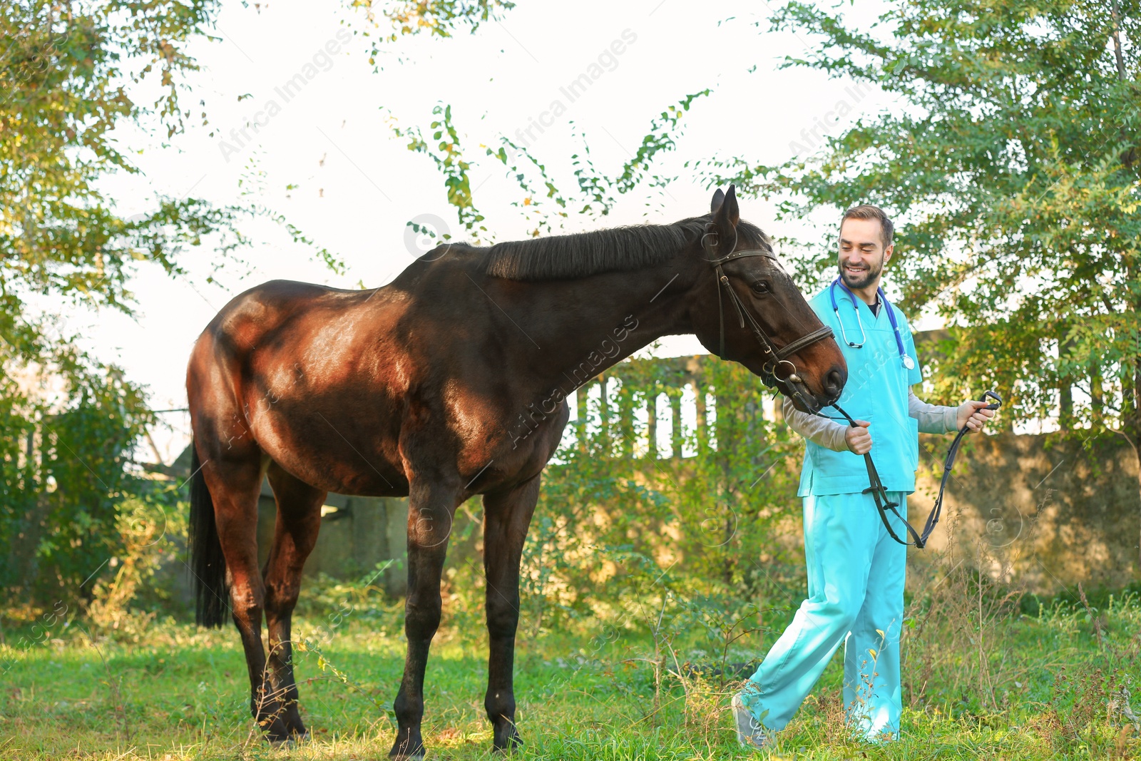 Photo of Veterinarian in uniform with beautiful brown horse outdoors