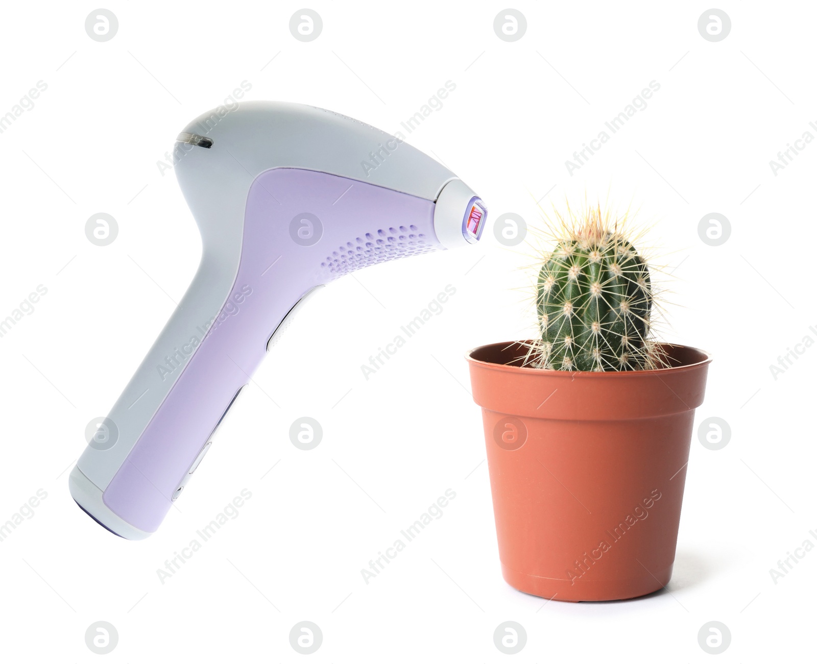 Image of Hair removal concept. Cactus and modern photoepilator on white background