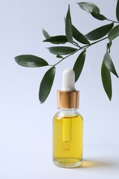 Bottle of cosmetic oil and leaves on white background