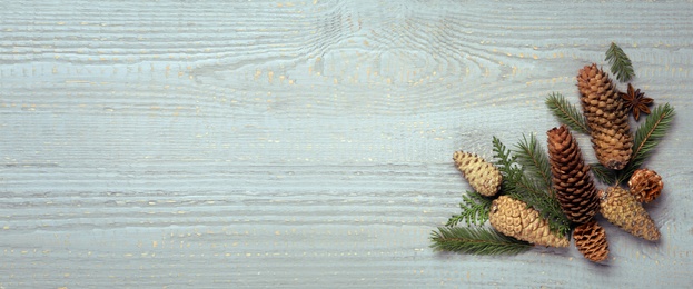 Image of Flat lay composition with pinecones on grey wooden table, space for text. Horizontal banner design