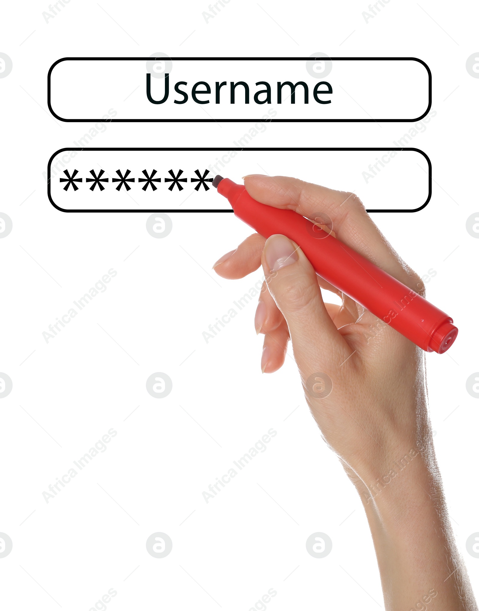 Image of Illustration of authorization interface and woman with marker on white background, closeup