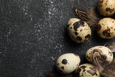 Photo of Speckled quail eggs and feathers on black textured table, closeup. Space for text