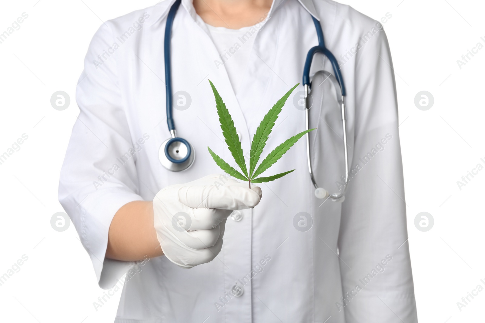 Photo of Doctor holding leaf of medical hemp on white background, closeup