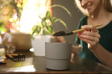 Young woman taking care of plants at home, focus on hand with shovel. Engaging hobby