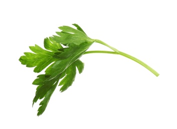 Photo of Fresh green organic parsley on white background