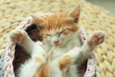 Photo of Cute little red kitten sleeping in knitted basket at home