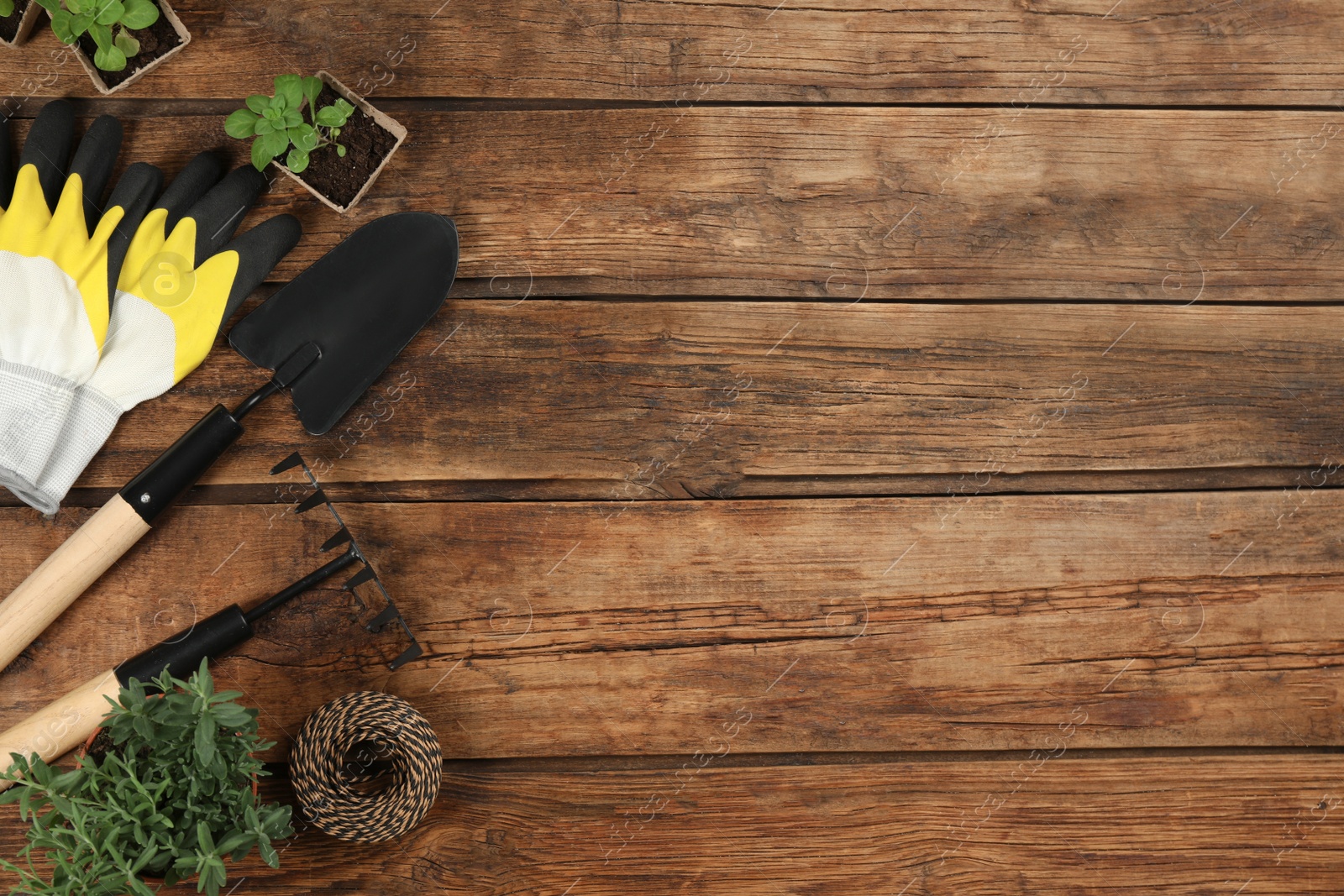 Photo of Flat lay composition with gardening tools and plants on wooden background. Space for text