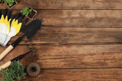 Photo of Flat lay composition with gardening tools and plants on wooden background. Space for text