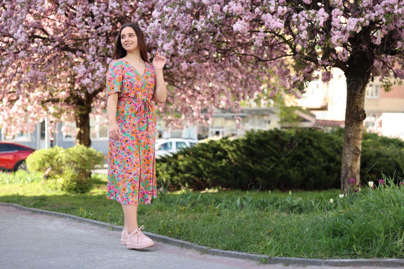 Photo of Beautiful woman and blossoming trees on spring day