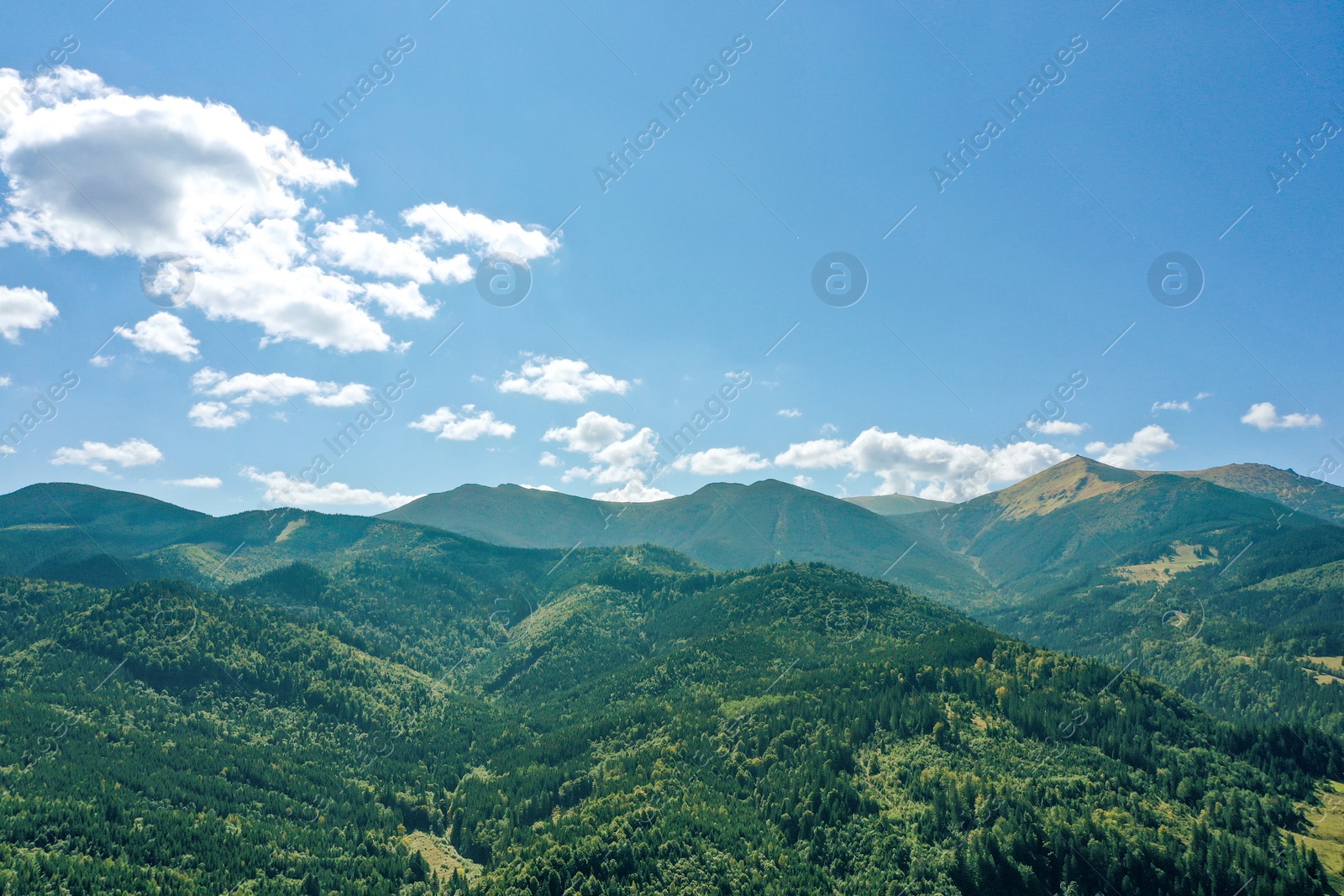 Photo of Beautiful mountain landscape with green trees under blue sky on sunny day. Drone photography