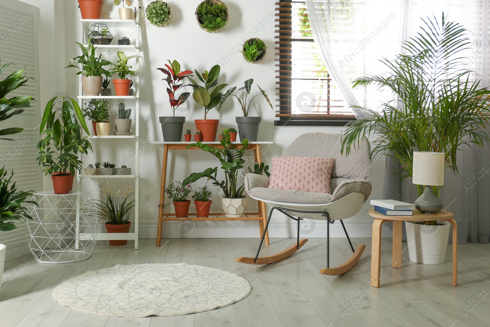 Photo of Stylish room interior with different home plants