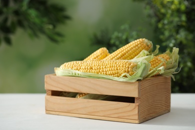 Photo of Ripe raw corn cobs in wooden crate on white table against blurred background