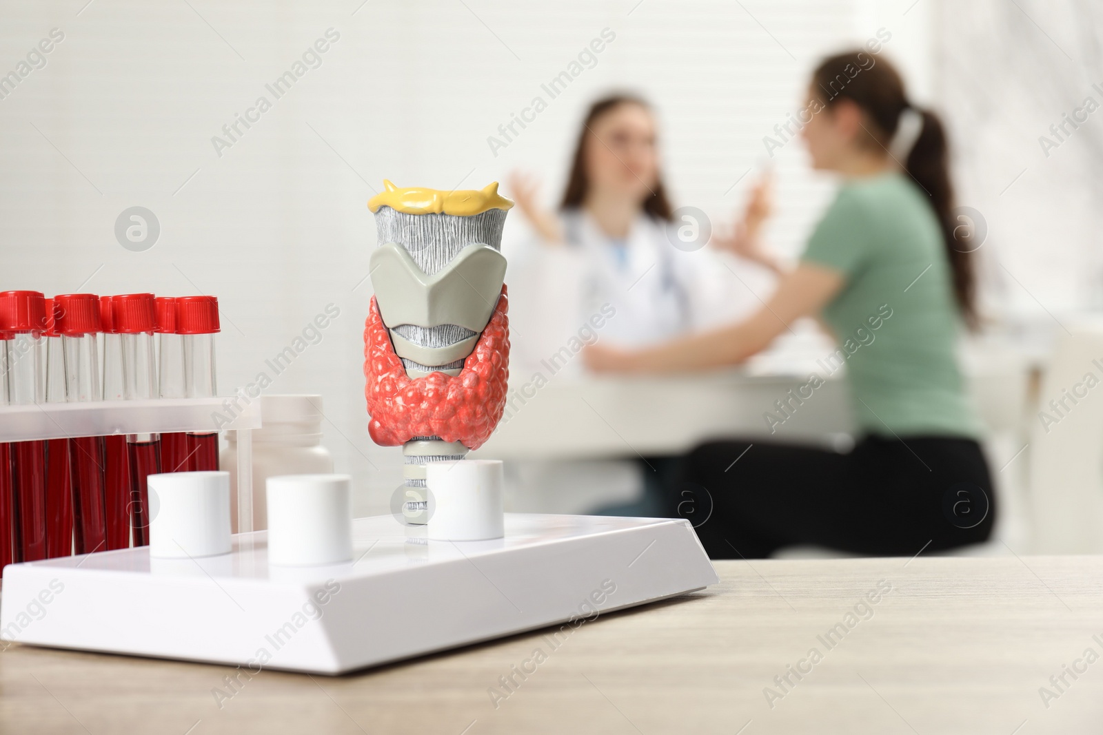 Photo of Endocrinologist examining patient at clinic, focus on model of thyroid gland and blood samples in test tubes