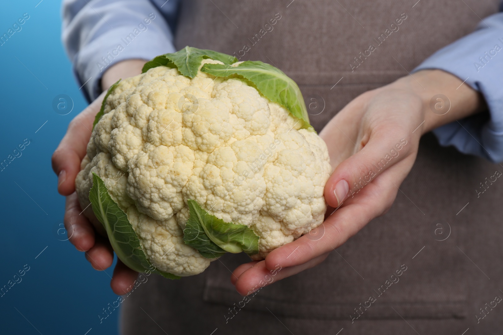 Photo of Woman holding fresh cauliflower against blue background, closeup