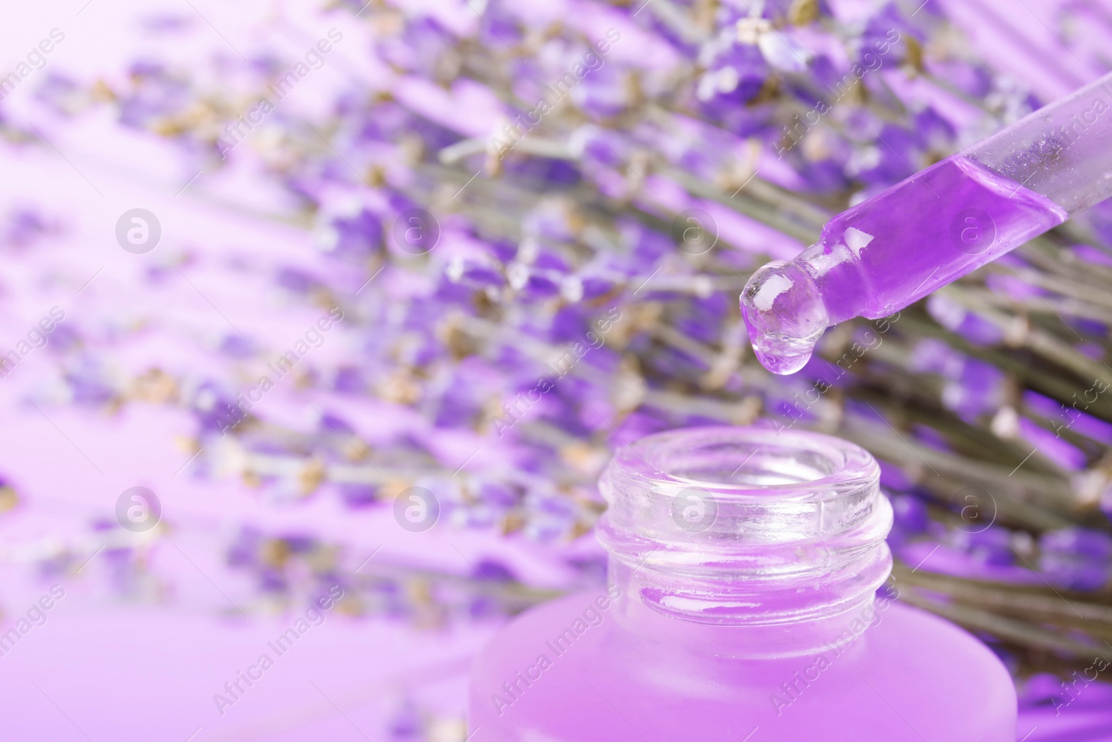 Photo of Dripping natural lavender oil into bottle against blurred background, closeup. Space for text