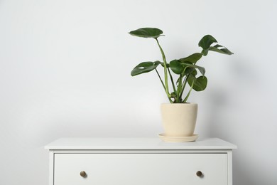 Photo of Potted monstera on chest of drawers near white wall, space for text. Beautiful houseplant