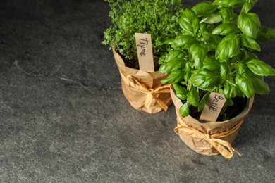 Photo of Aromatic potted thyme and basil on black textured table, above view. Space for text