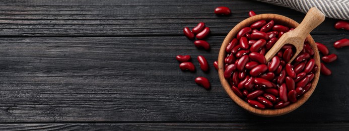 Red kidney beans and space for text on dark wooden table, flat lay. Banner design