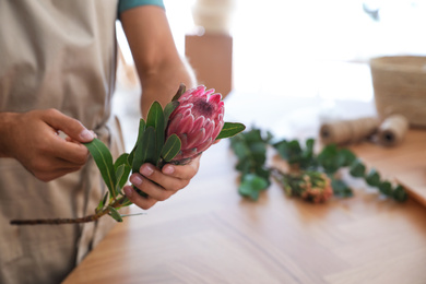 Florist with beautiful protea flower in workshop, closeup