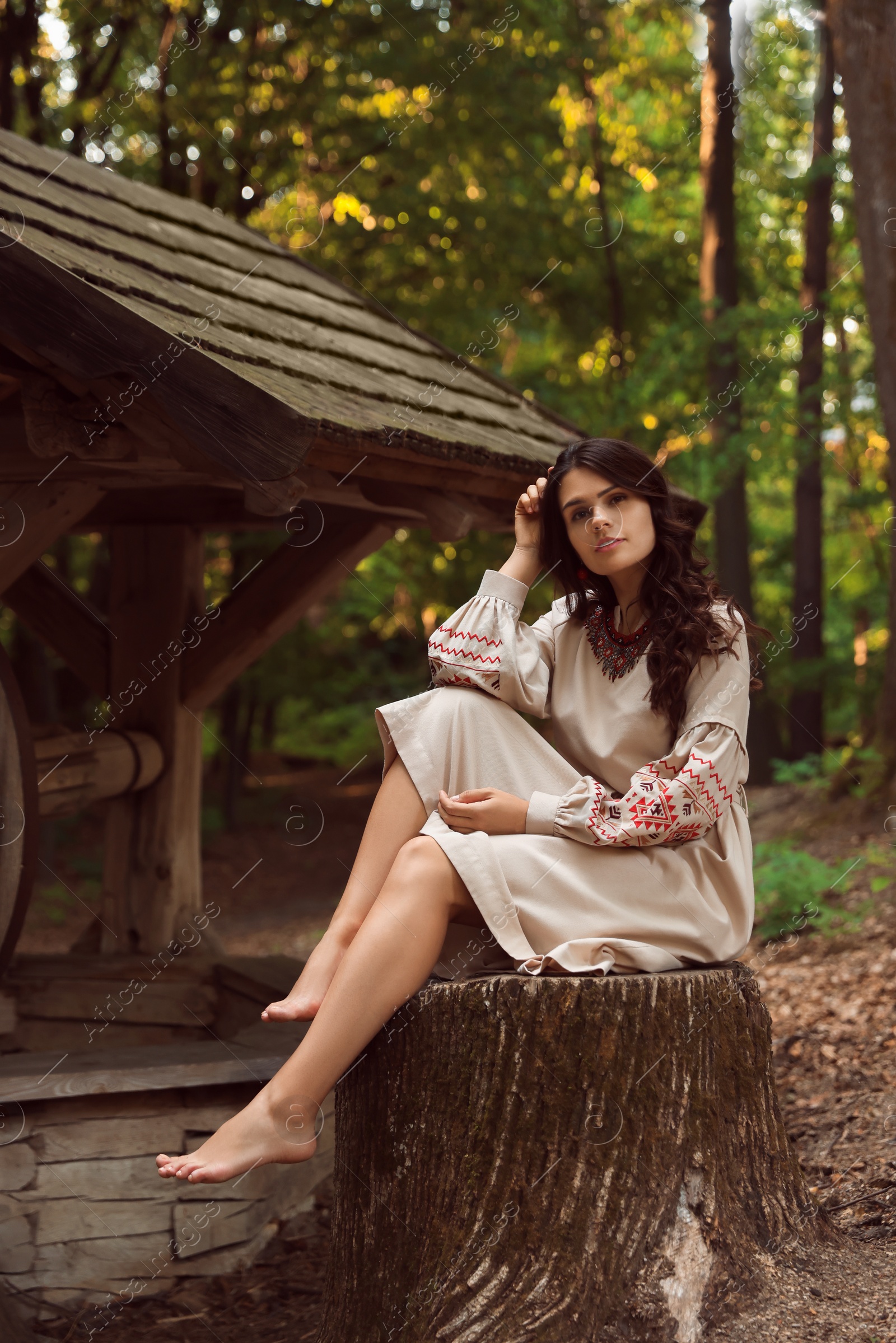 Photo of Beautiful woman wearing embroidered dress sitting near old wooden well in countryside. Ukrainian national clothes