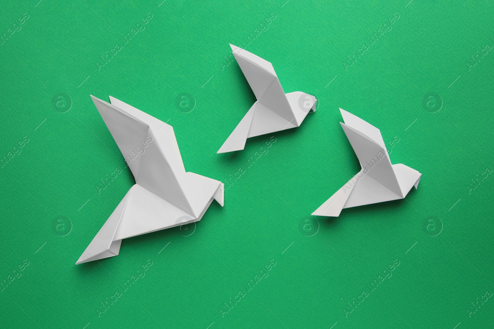 Photo of Beautiful white origami birds on green background, flat lay