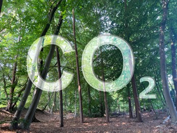 Image of Concept of clear air. CO2 inscription and beautiful forest