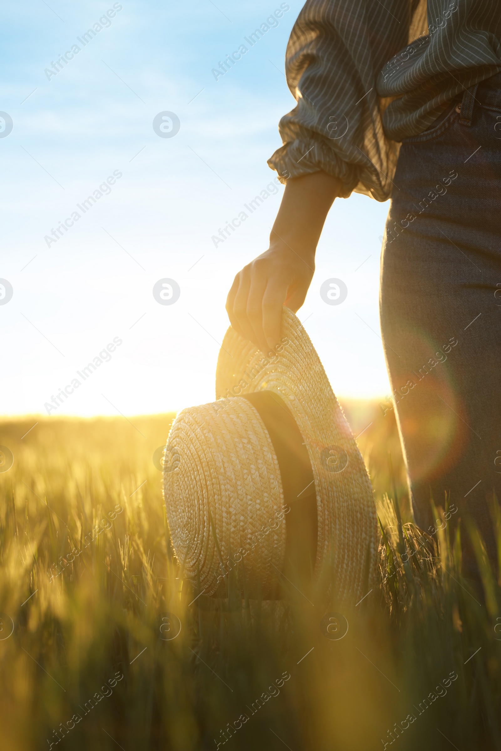 Photo of Woman in field with unripe spikes on sunny day, closeup