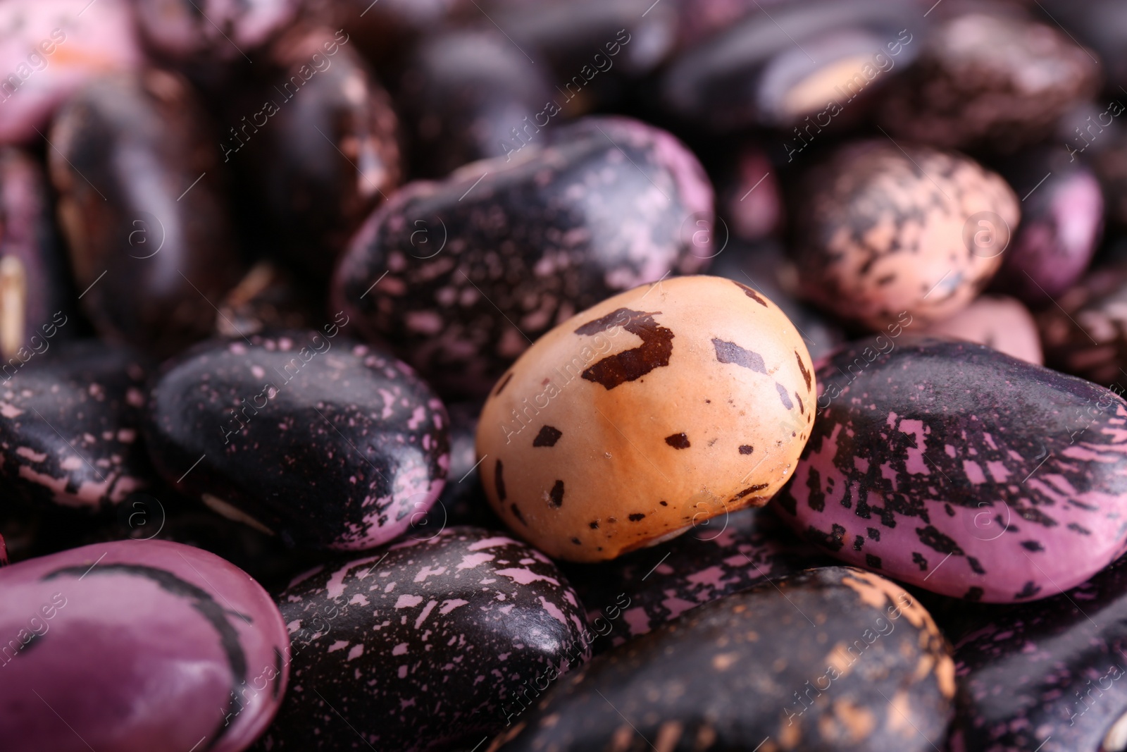 Photo of Many dry kidney beans as background, closeup