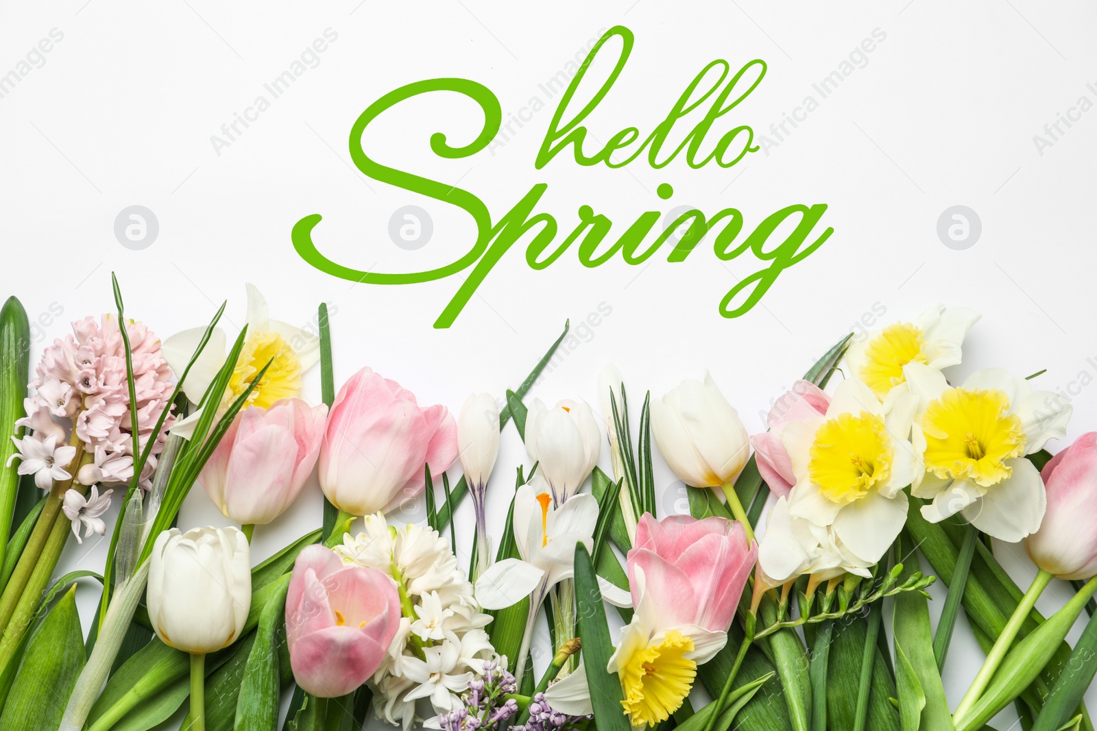 Image of Hello Spring. Beautiful flowers on white background, flat lay